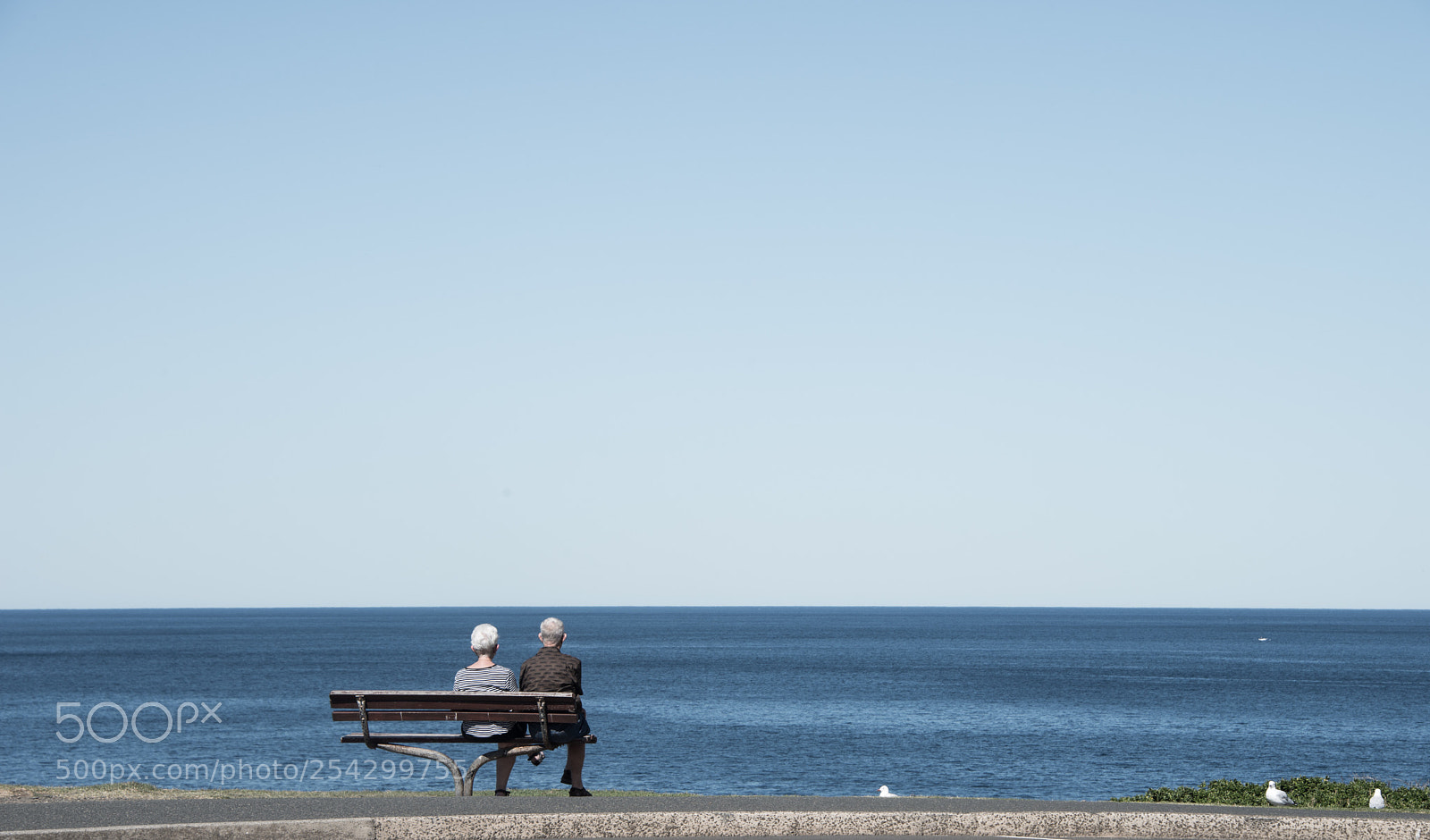 Nikon D810 sample photo. Peaceful  photography