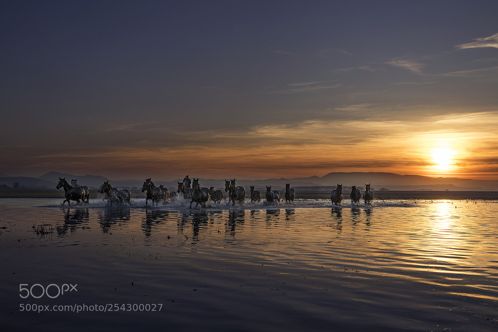 Canon EOS 80D sample photo. Sunset rider photography