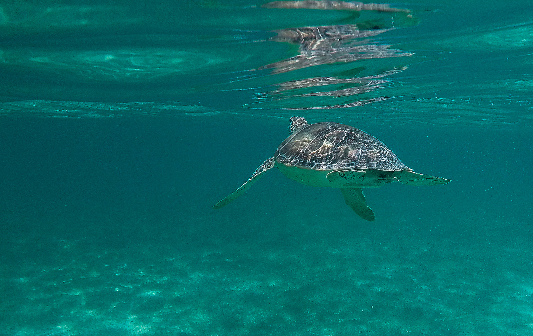 GoPro HERO sample photo. Untitled photography