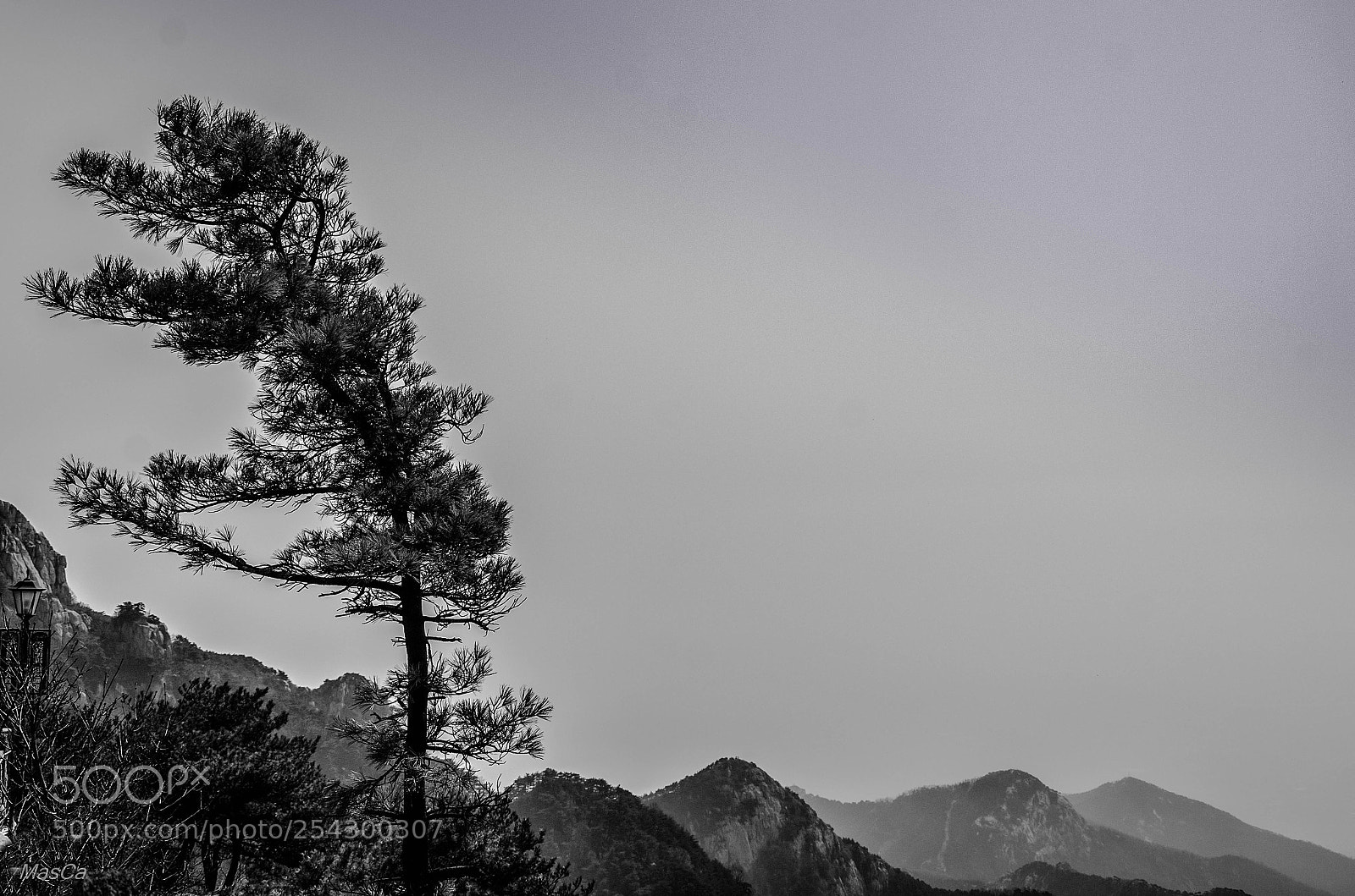 Nikon D7000 sample photo. Tai shan photography
