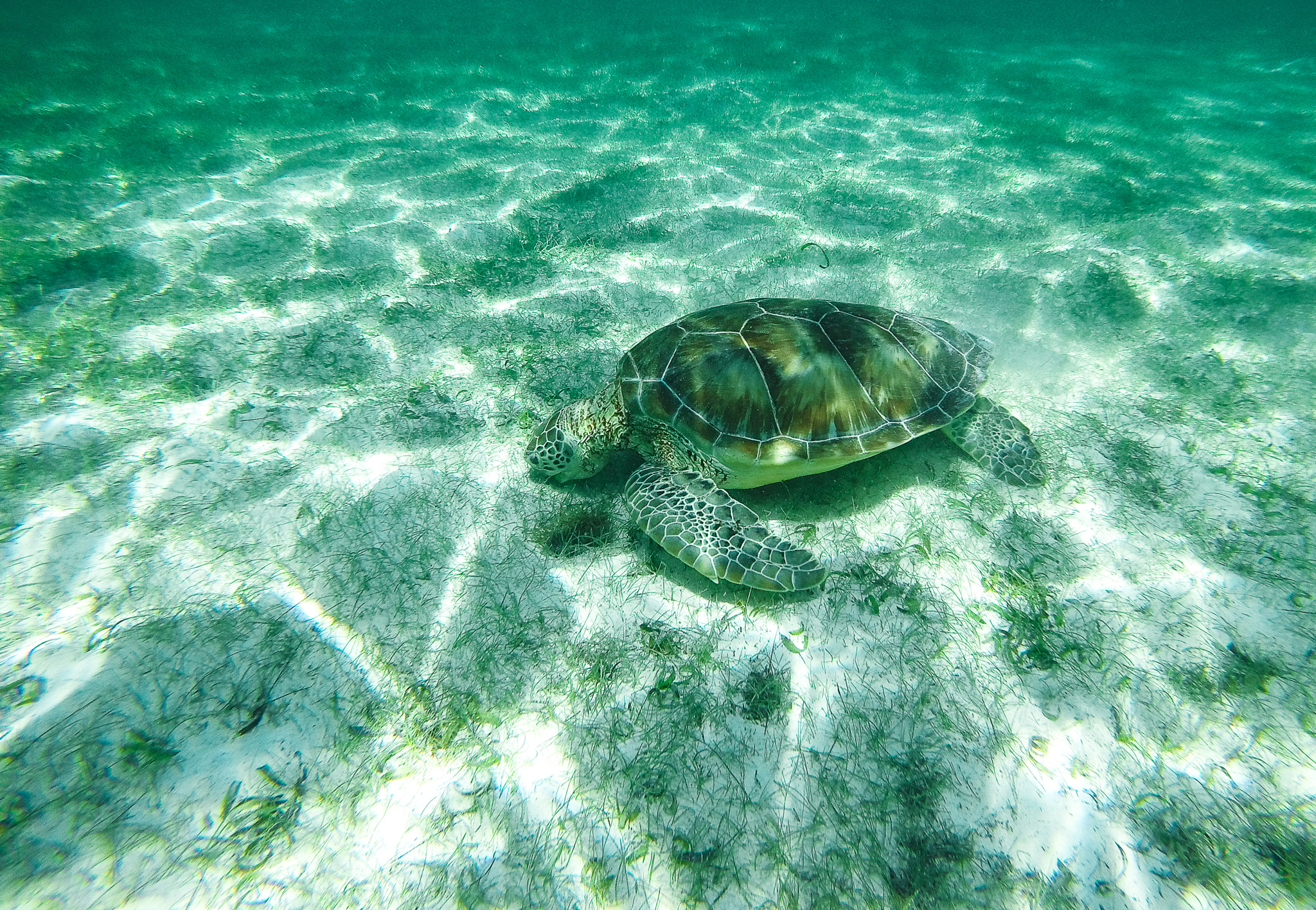 GoPro HERO sample photo. Untitled photography