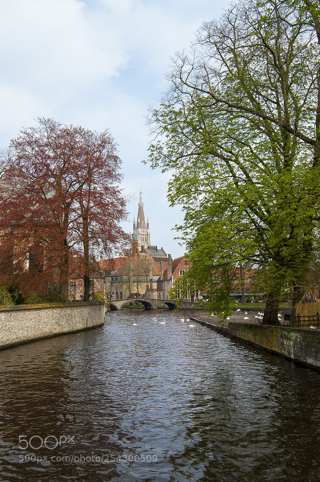 Nikon D40 sample photo. Brugge photography