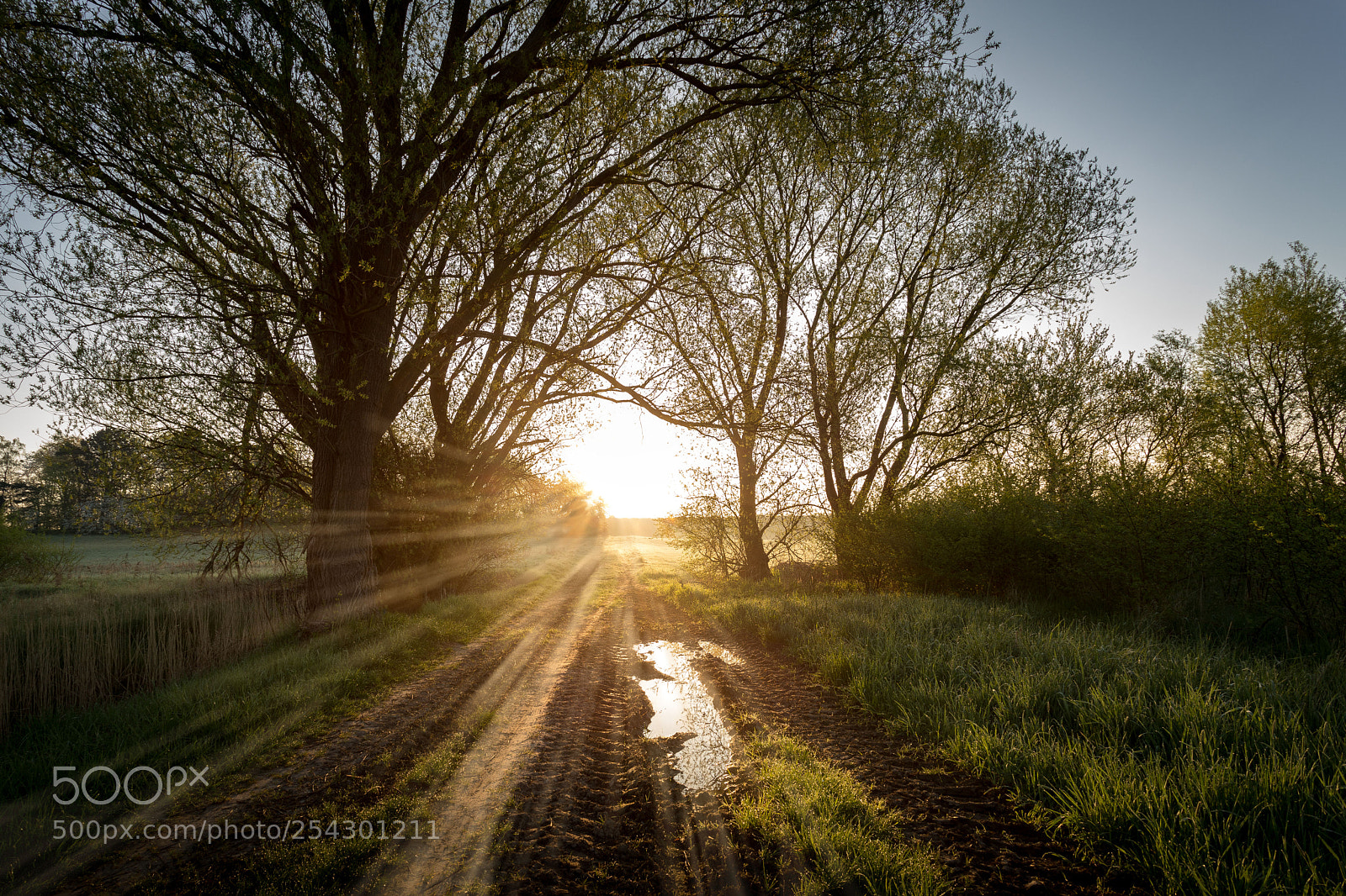 Canon EOS 5D Mark IV sample photo. Wonderful morning "part 2" photography