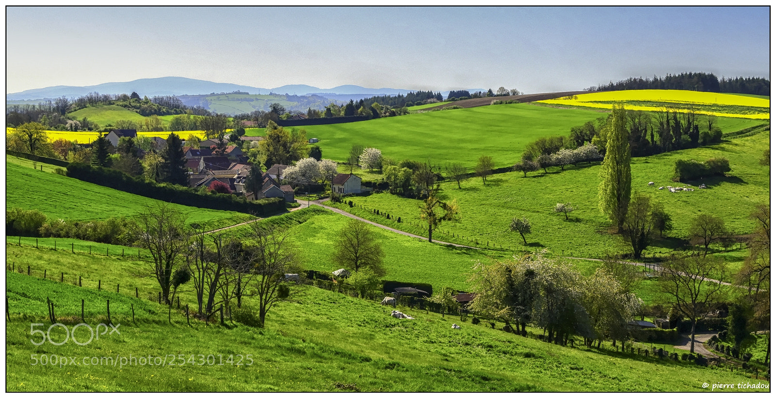 Nikon D5500 sample photo. Campagne photography