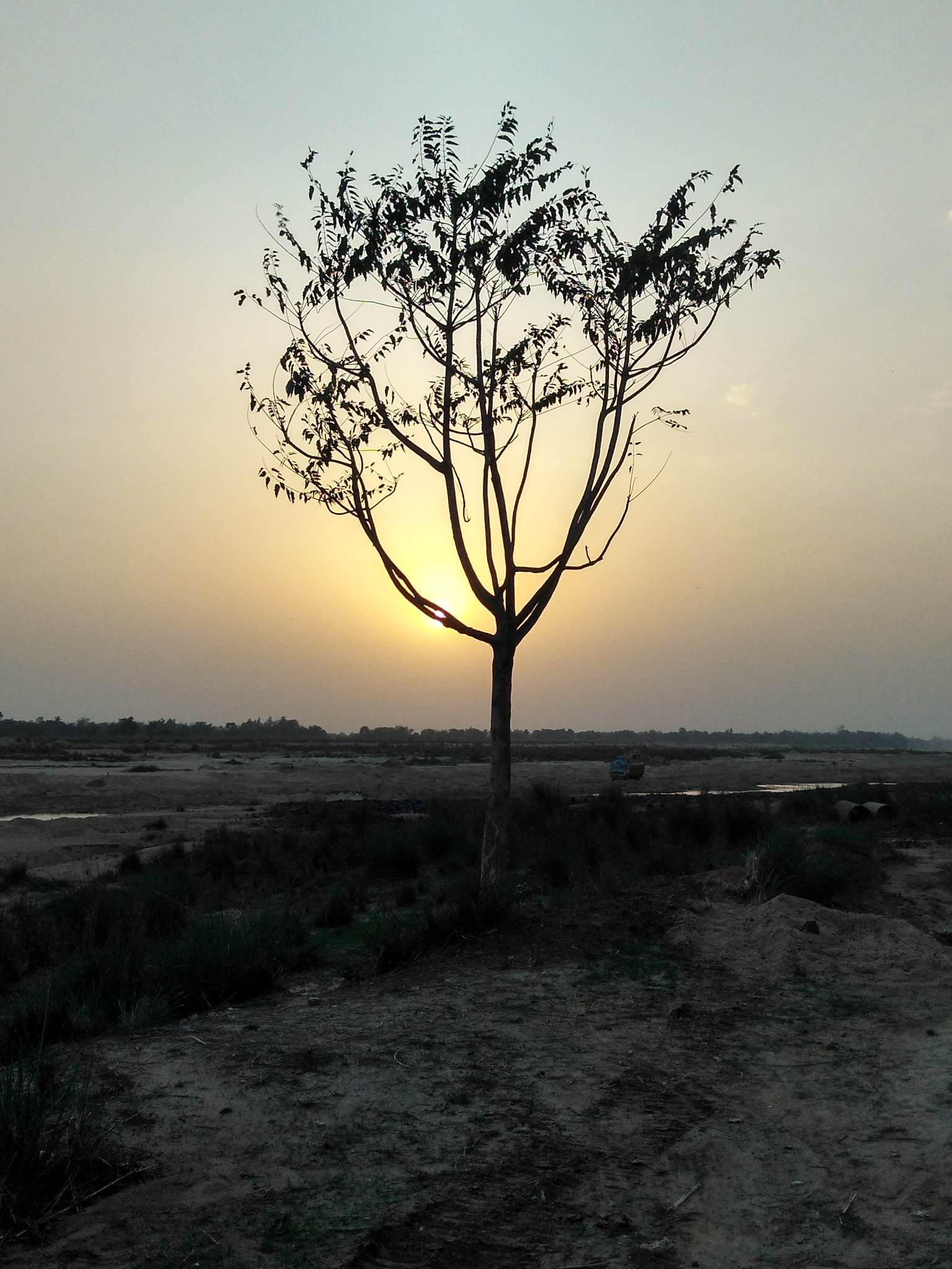 Motorola Moto G Play sample photo