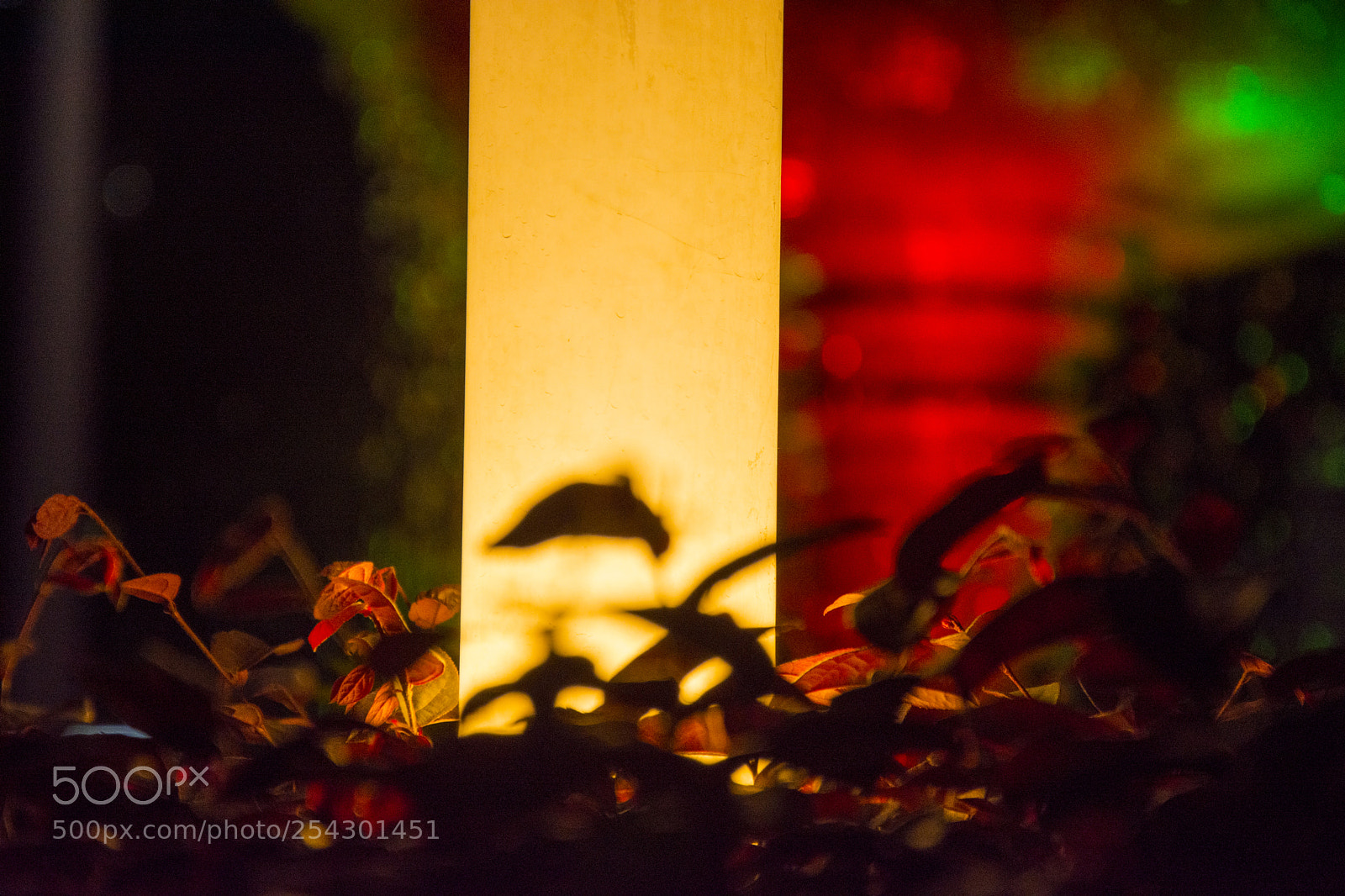 Nikon D7200 sample photo. Untitled photography