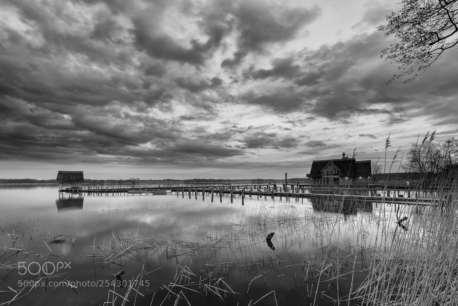 Canon EOS 5D Mark IV sample photo. Reflection in... photography