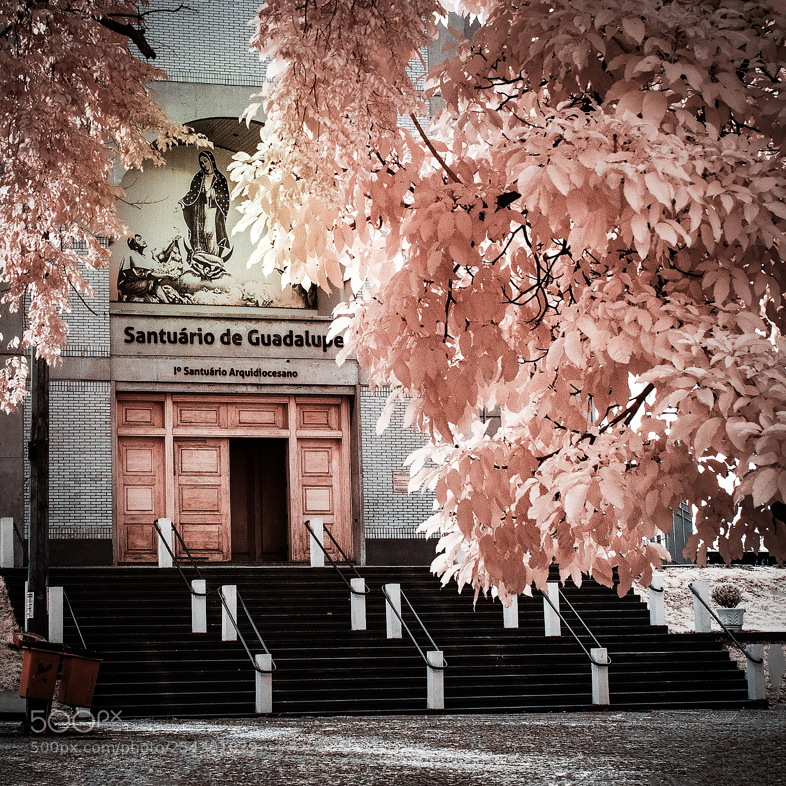 Canon EOS 5D Mark IV sample photo. Infrared 720nm photography