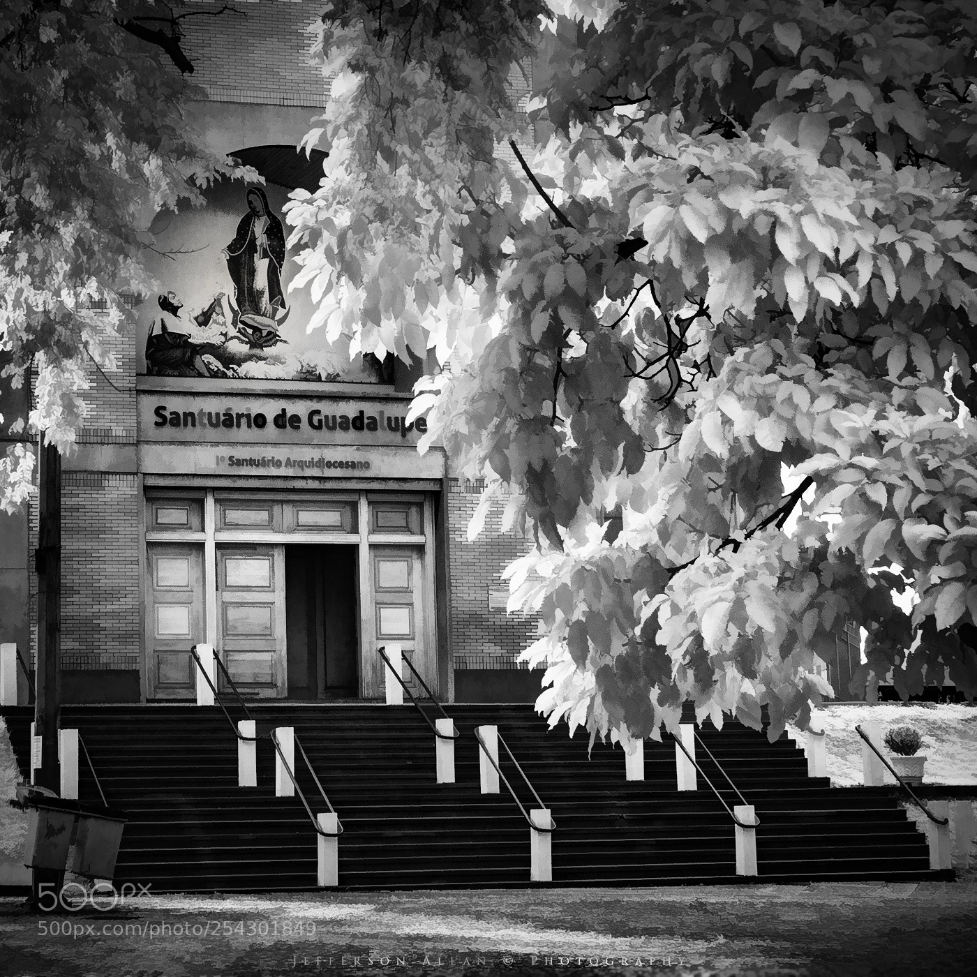 Canon EOS 5D Mark IV sample photo. Infrared 720nm p&b photography