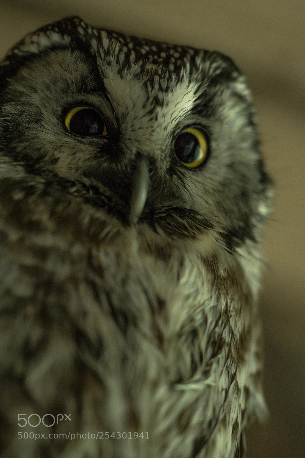 Sony a6000 sample photo. Funny dude photography