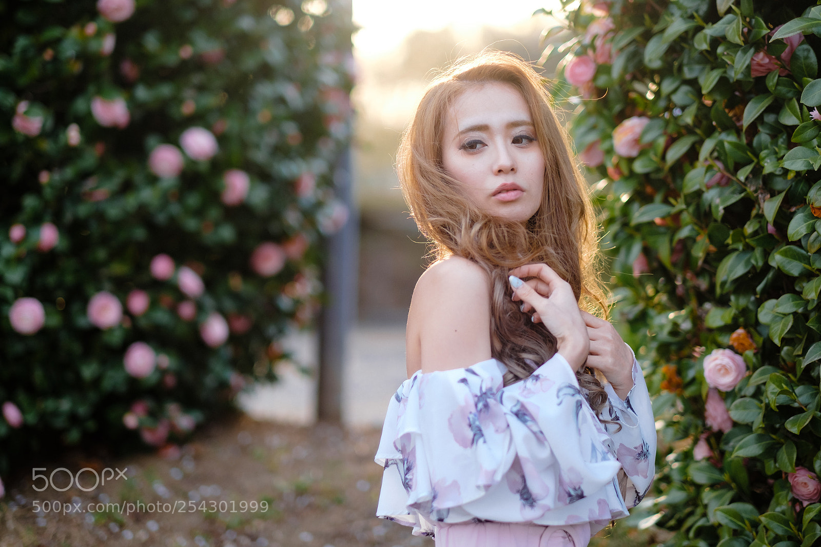 Fujifilm X-T2 sample photo. Untitled photography