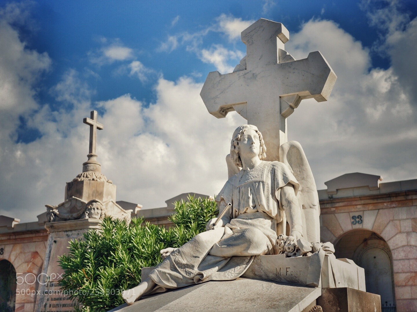Sony Alpha NEX-6 sample photo. Angel photography