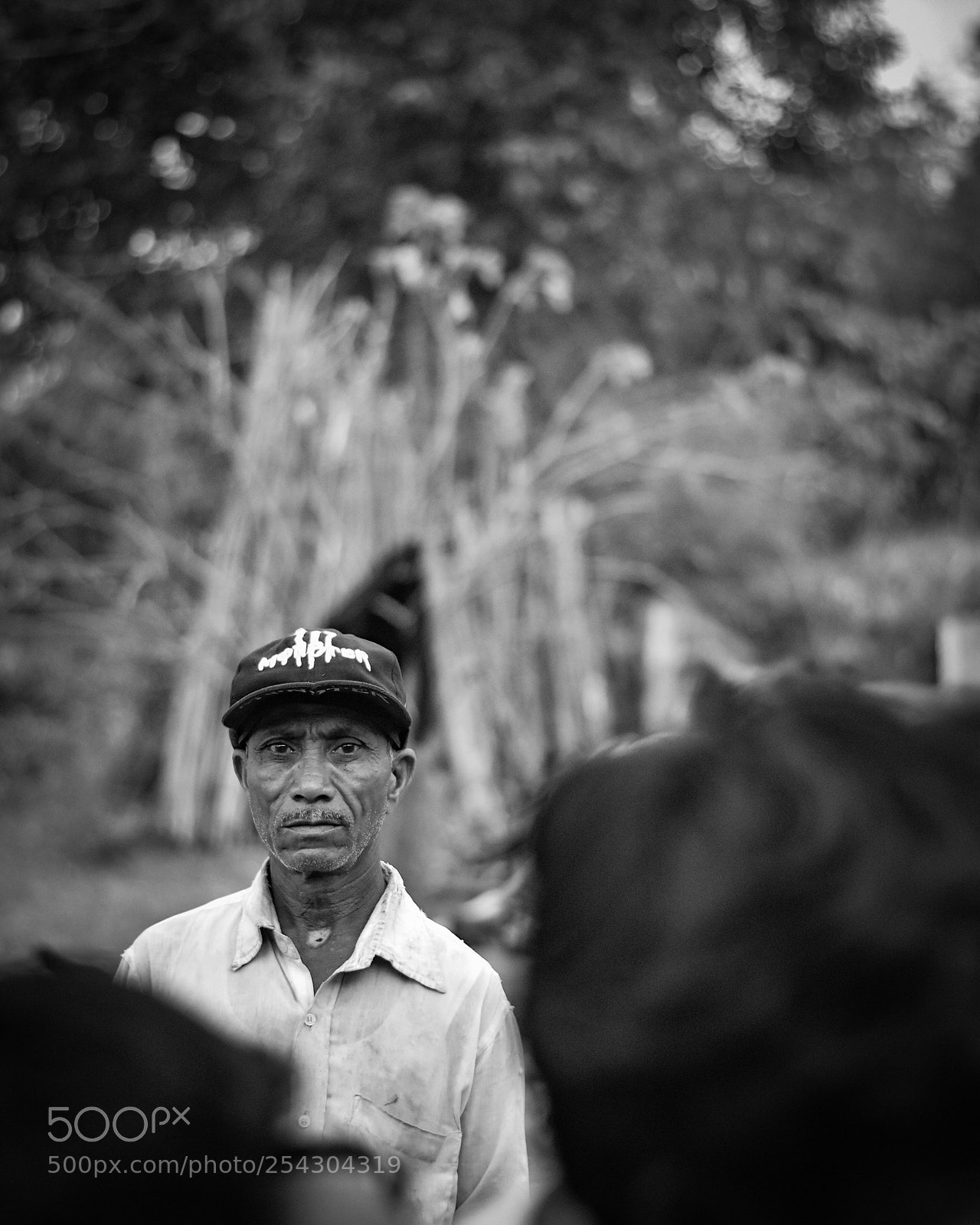 Nikon D7200 sample photo. Old man photography
