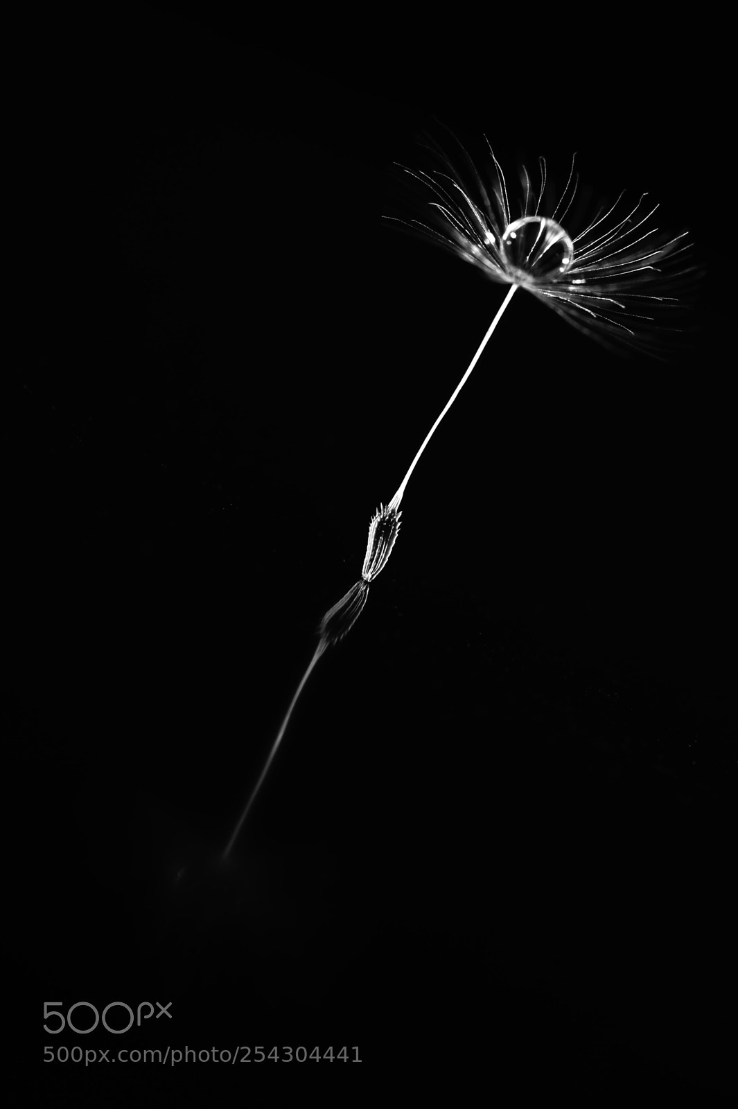 Nikon Df sample photo. Quiet photography