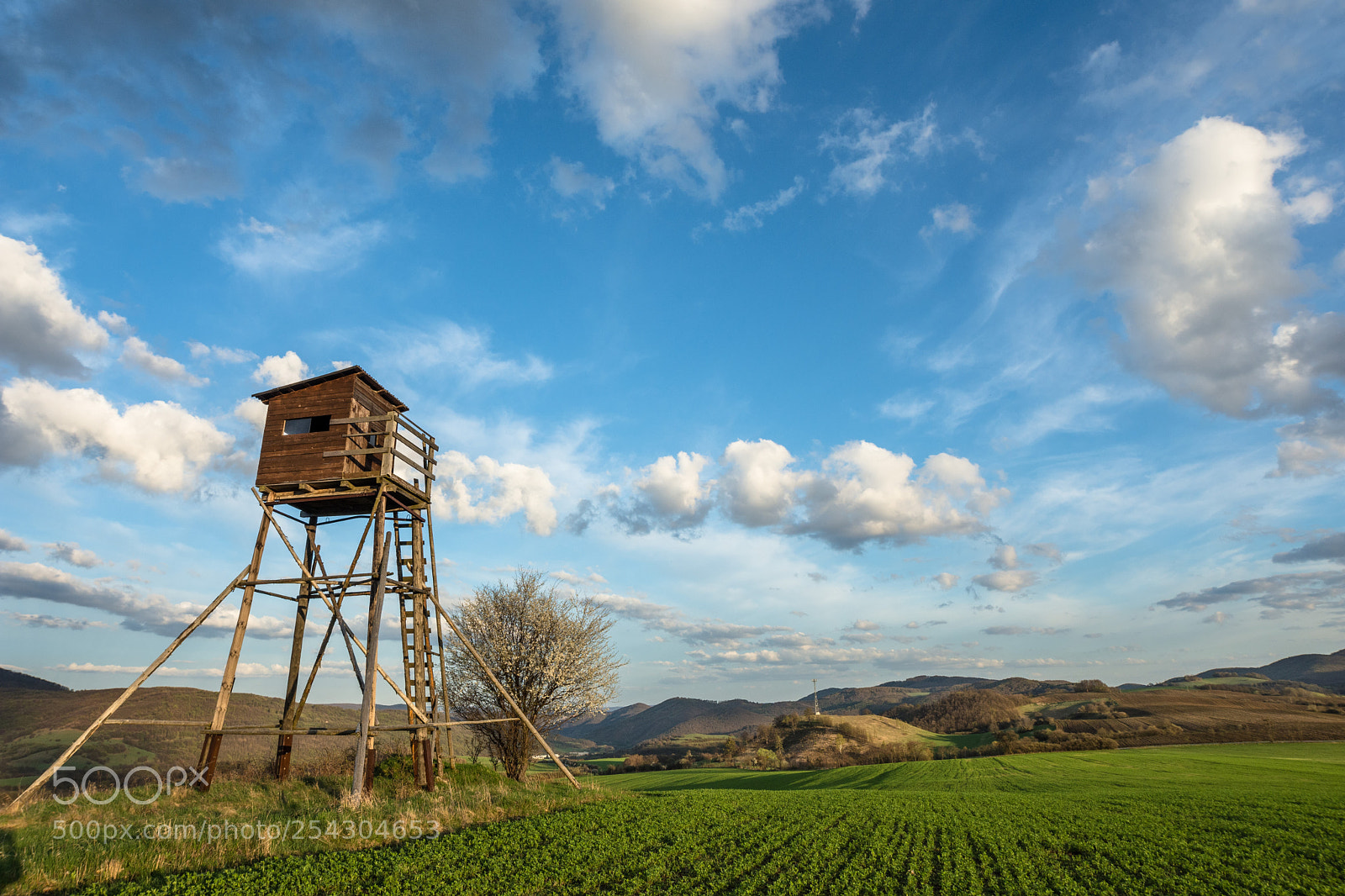 Nikon D7200 sample photo. Spring country photography