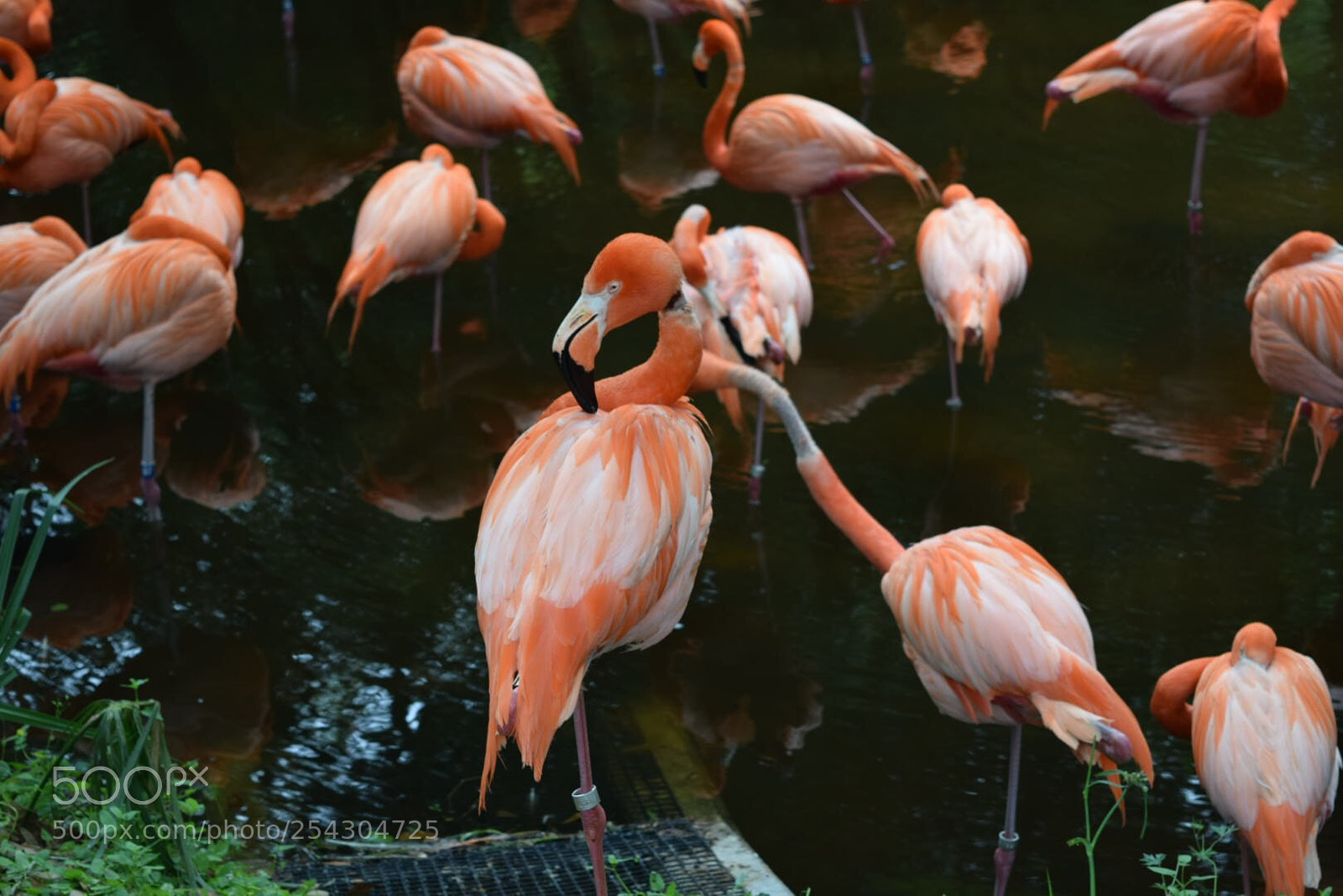 Nikon D3300 sample photo. Nature photography