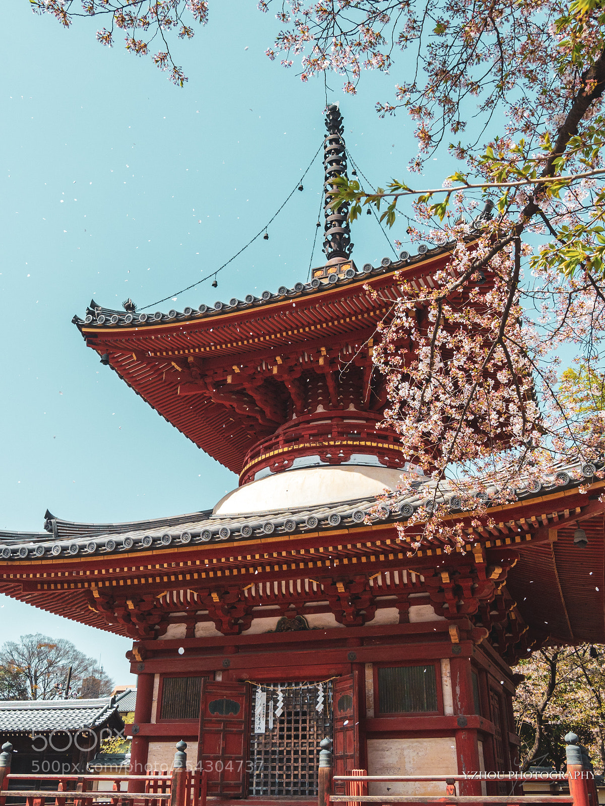 Olympus OM-D E-M1 Mark II sample photo. Wind blows photography
