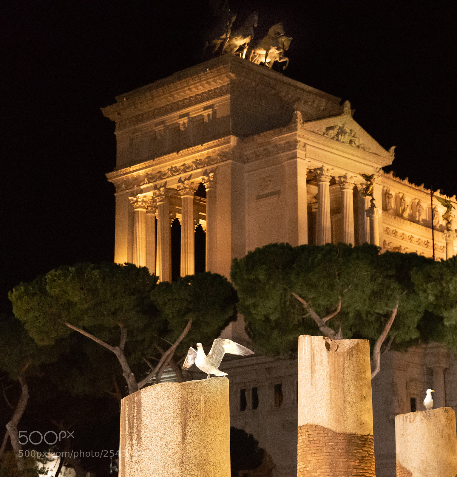 Nikon D500 sample photo. Rome, italy photography