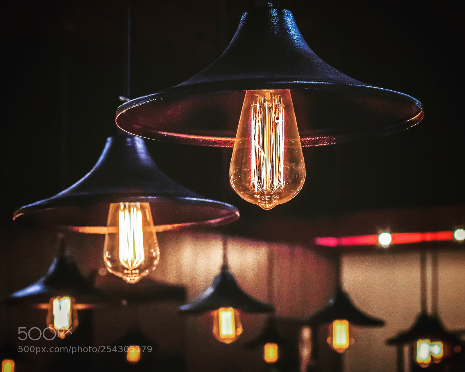 Nikon D5600 sample photo. Until the light photography