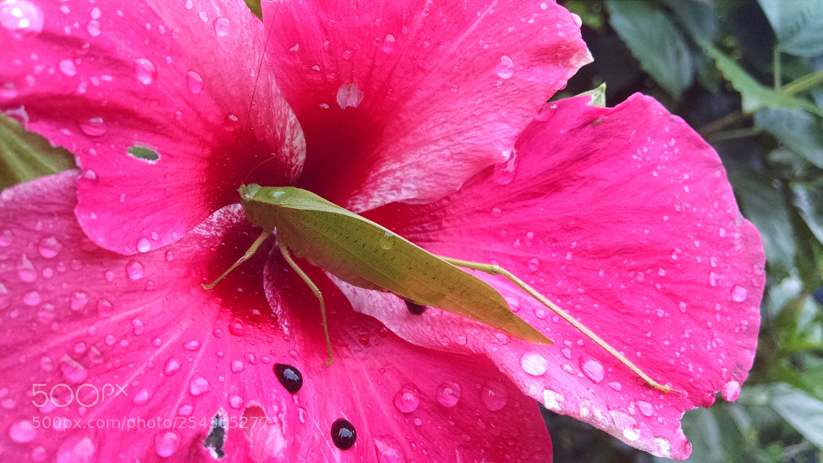 Motorola Moto X (1st Gen) sample photo. O n ctar da photography