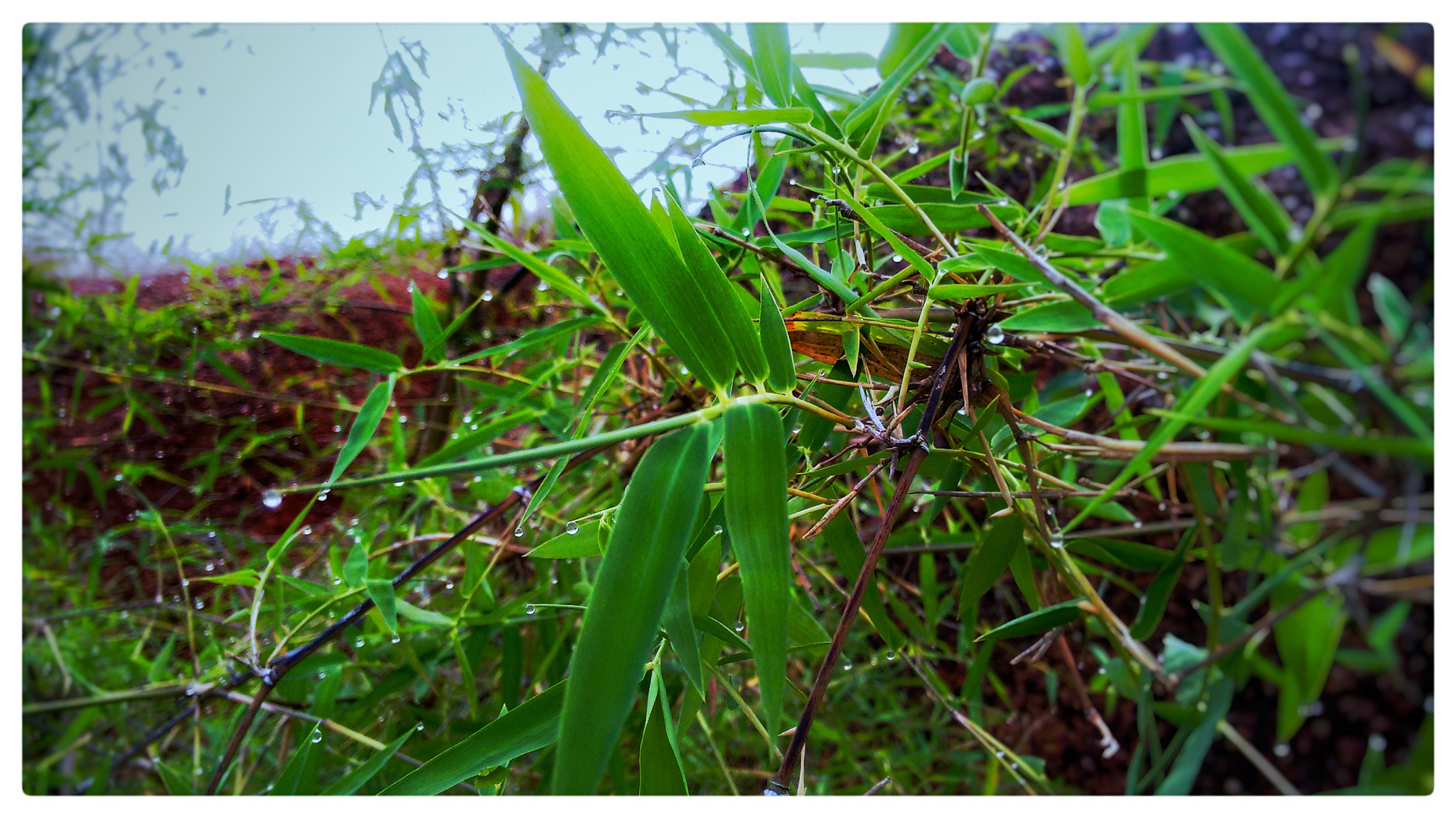 Motorola Moto G (2nd Gen) sample photo. Early morning to office photography