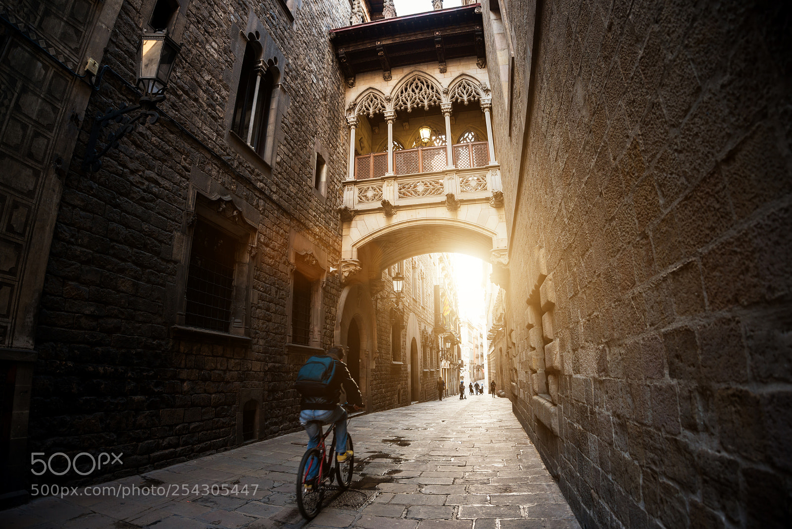 Nikon D800 sample photo. Barcelona people biking bicycle photography