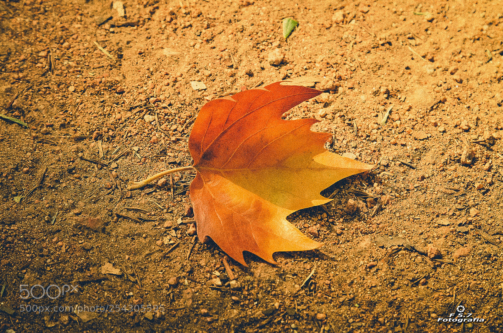 Canon EOS 7D sample photo. Tierra de c rdoba photography