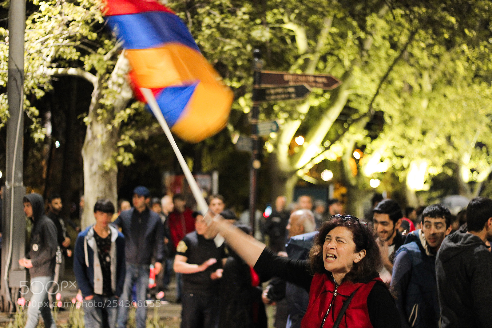 Canon EOS 600D (Rebel EOS T3i / EOS Kiss X5) sample photo. Women with armenian flag photography