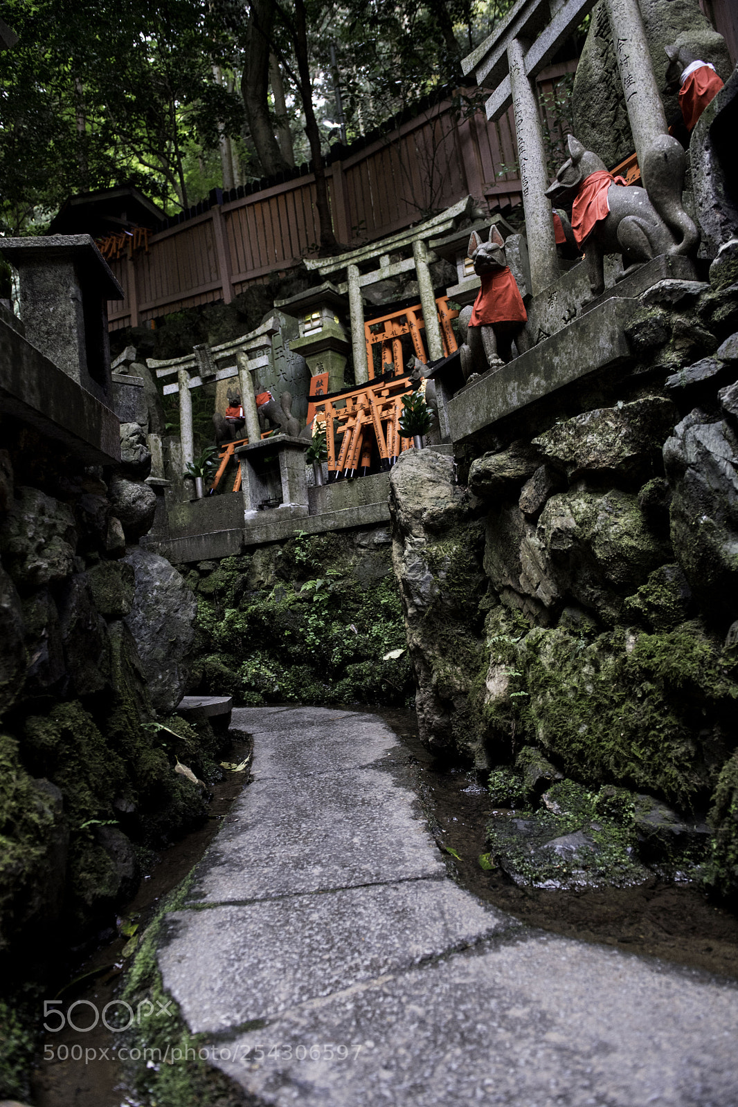 Nikon D5 sample photo. Fujimi inari shrine photography