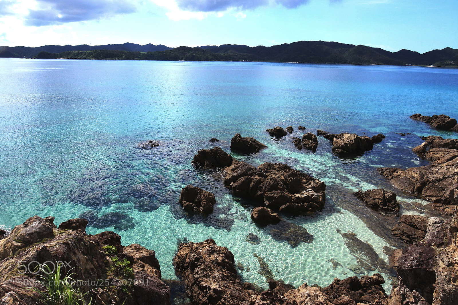 Canon EOS 70D sample photo. Spreading blue photography