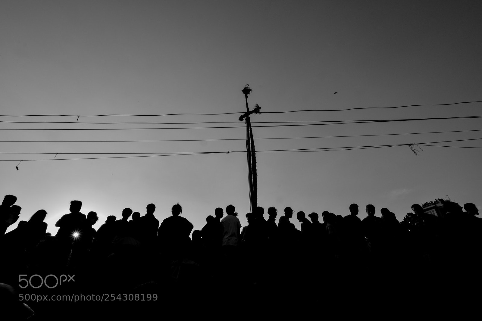 Nikon D7100 sample photo. Audience photography