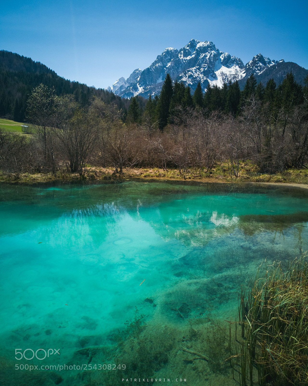 HUAWEI Mate 10 Pro sample photo. Zelenci, slovenia with incredible photography