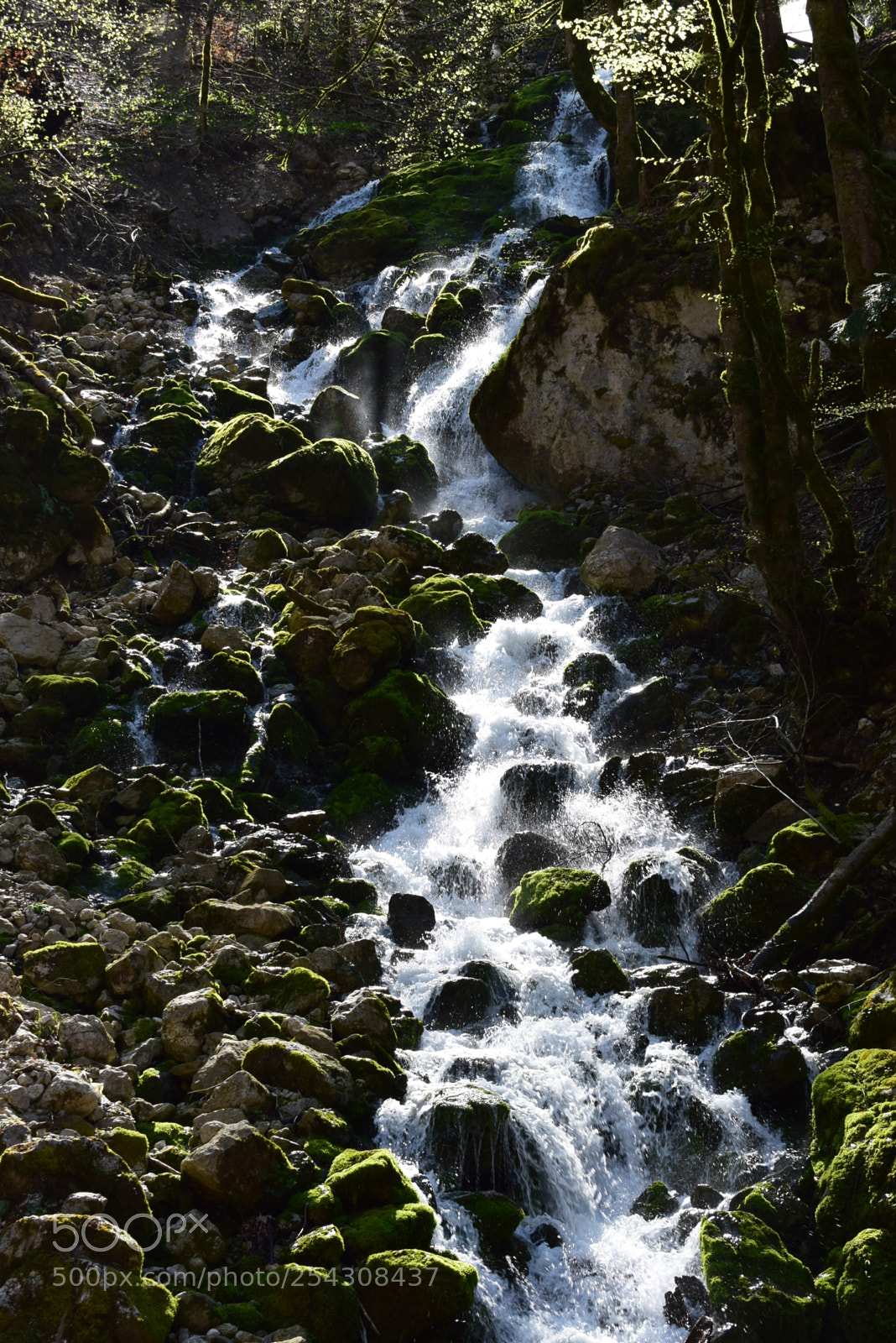Nikon D3300 sample photo. Torrent et lumiere photography