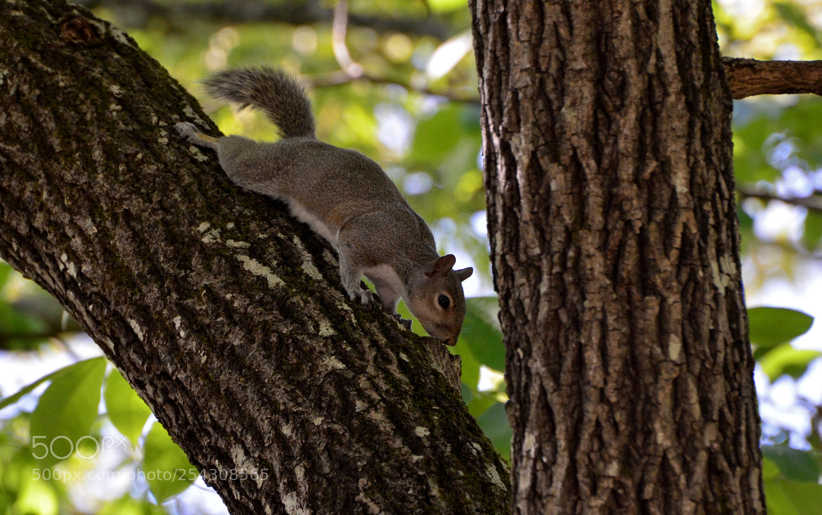 Nikon D7000 sample photo. Stretching 2 photography