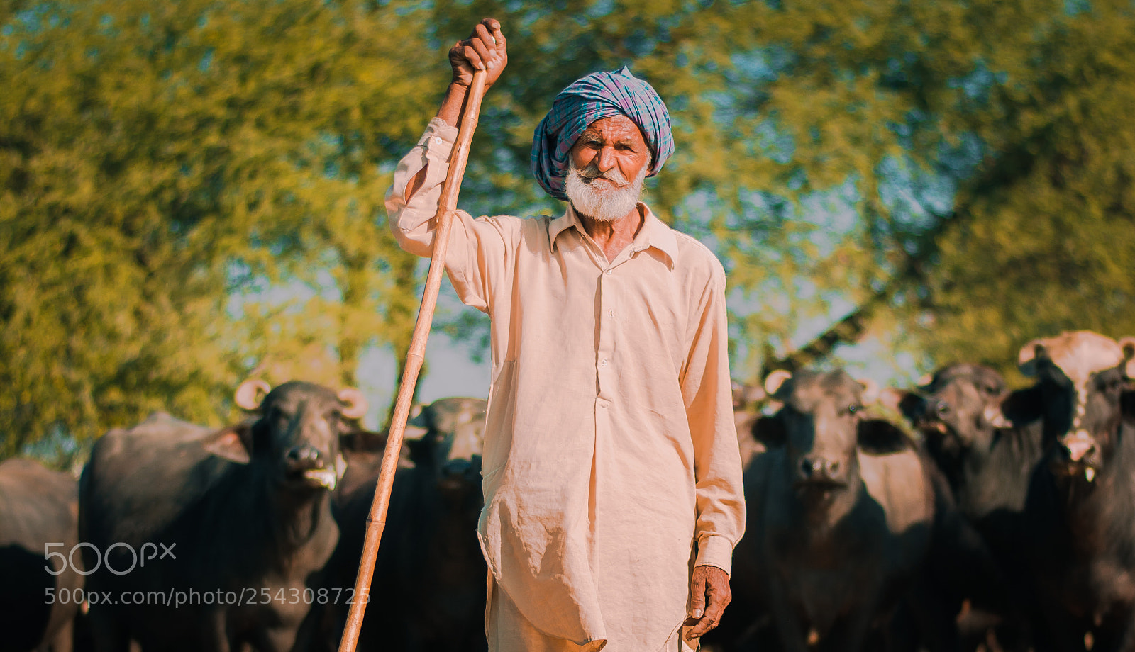 Nikon D7100 sample photo. The guardian photography