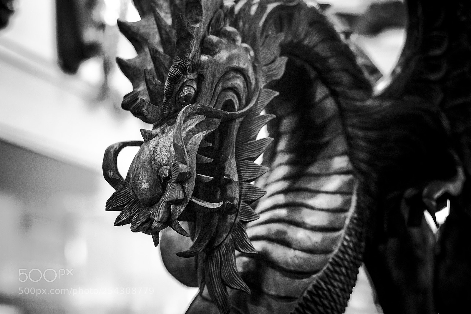 Canon EOS 70D sample photo. Dragon photography