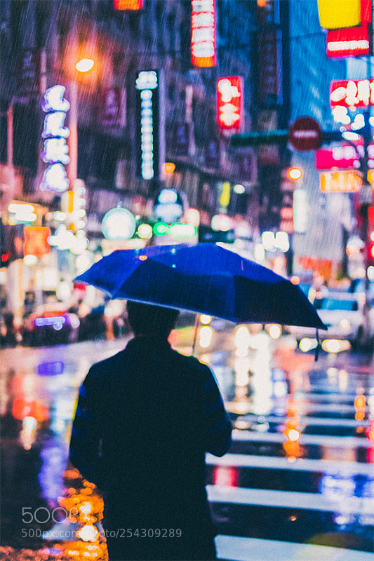 Canon EOS 80D sample photo. Untitled photography