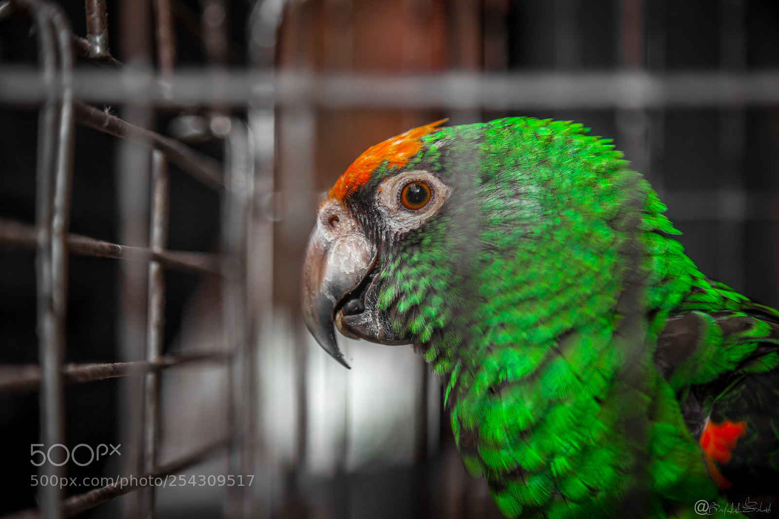 Canon EOS 5D Mark II sample photo. Untitled photography