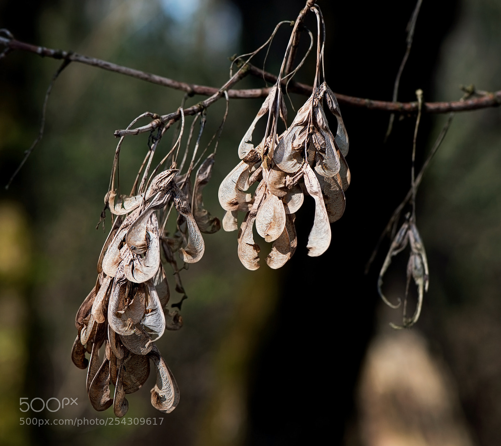 Nikon D800 sample photo. Worn out. photography