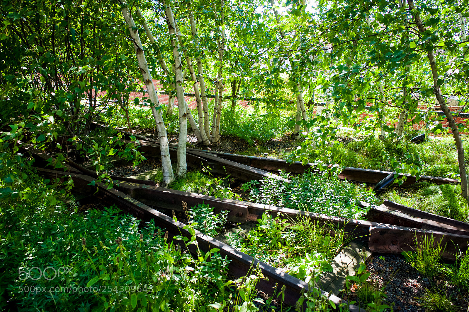 Sony a7 sample photo. Deep highline photography
