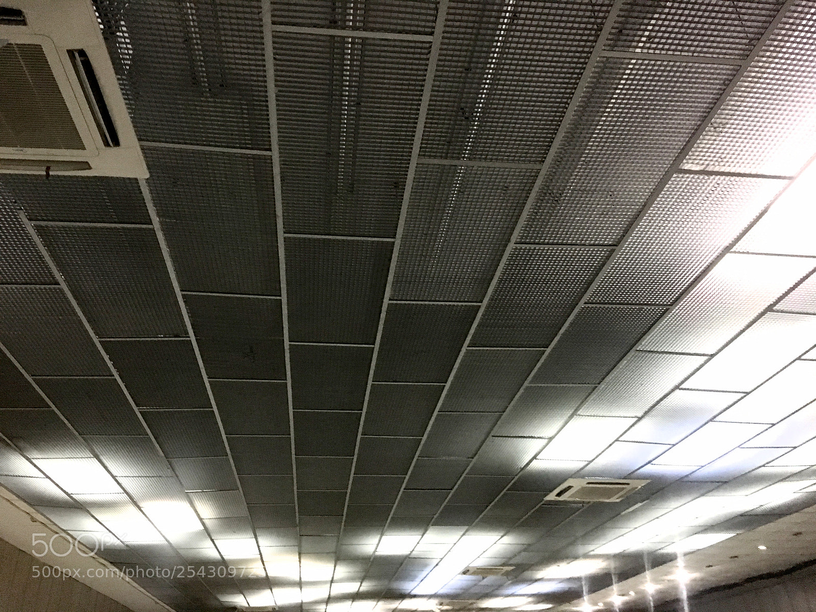 Apple iPhone 6s sample photo. Untitled photography