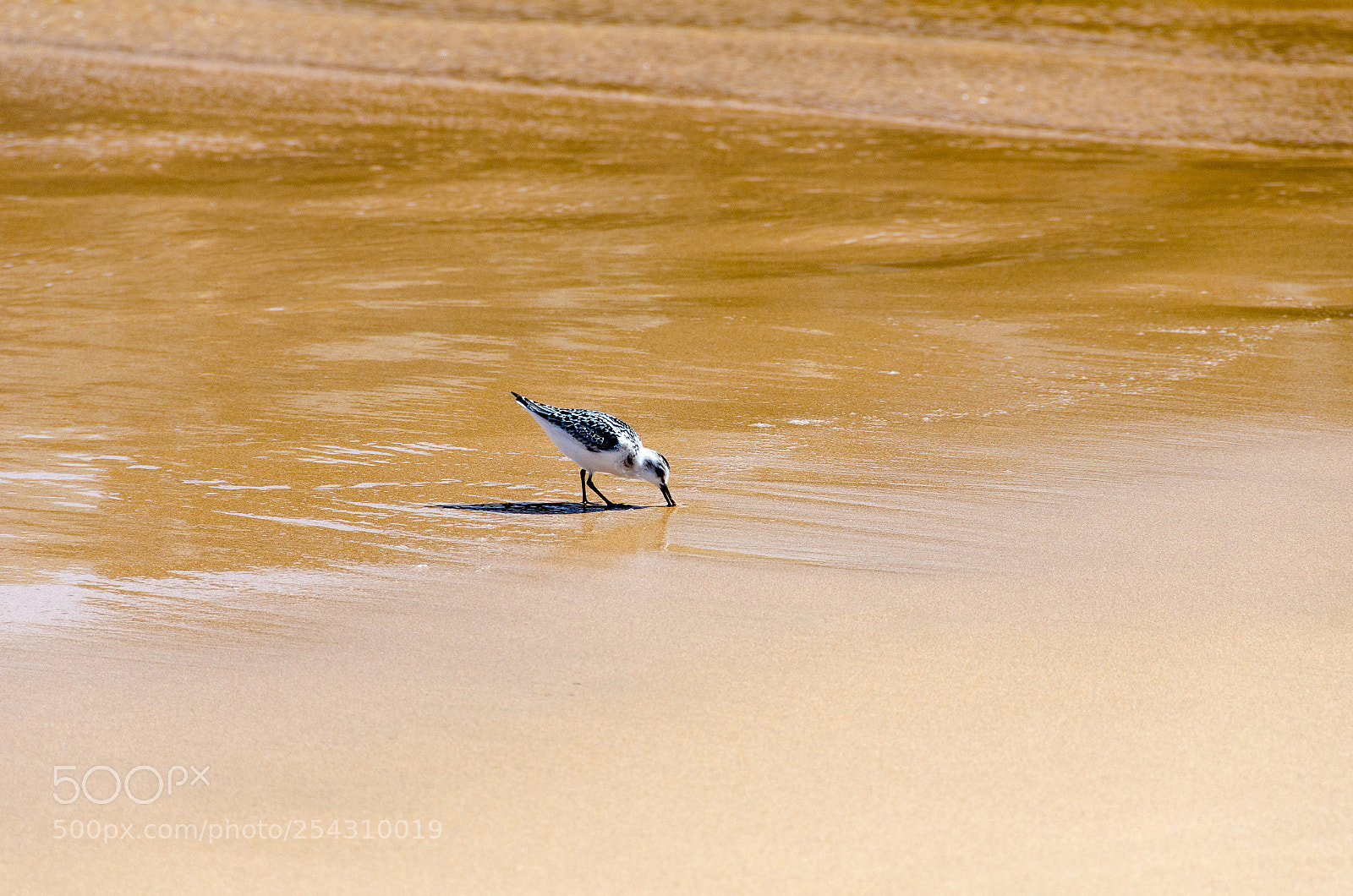 Nikon D7000 sample photo. At the beach photography