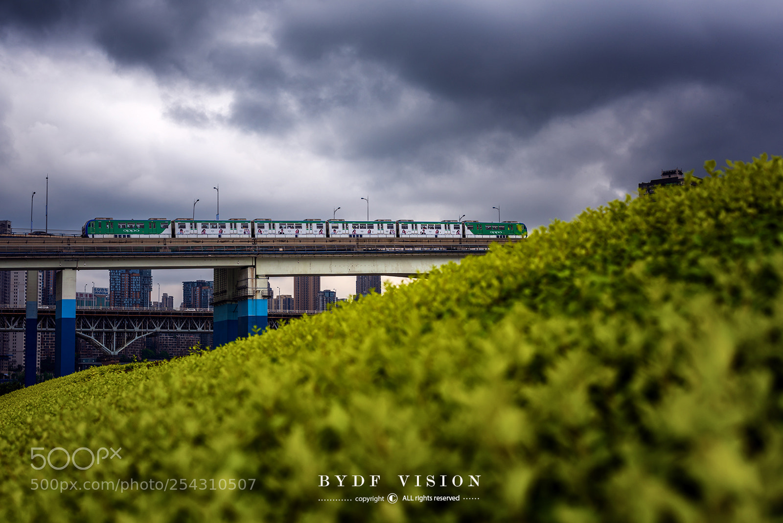 Nikon D810 sample photo. Untitled photography