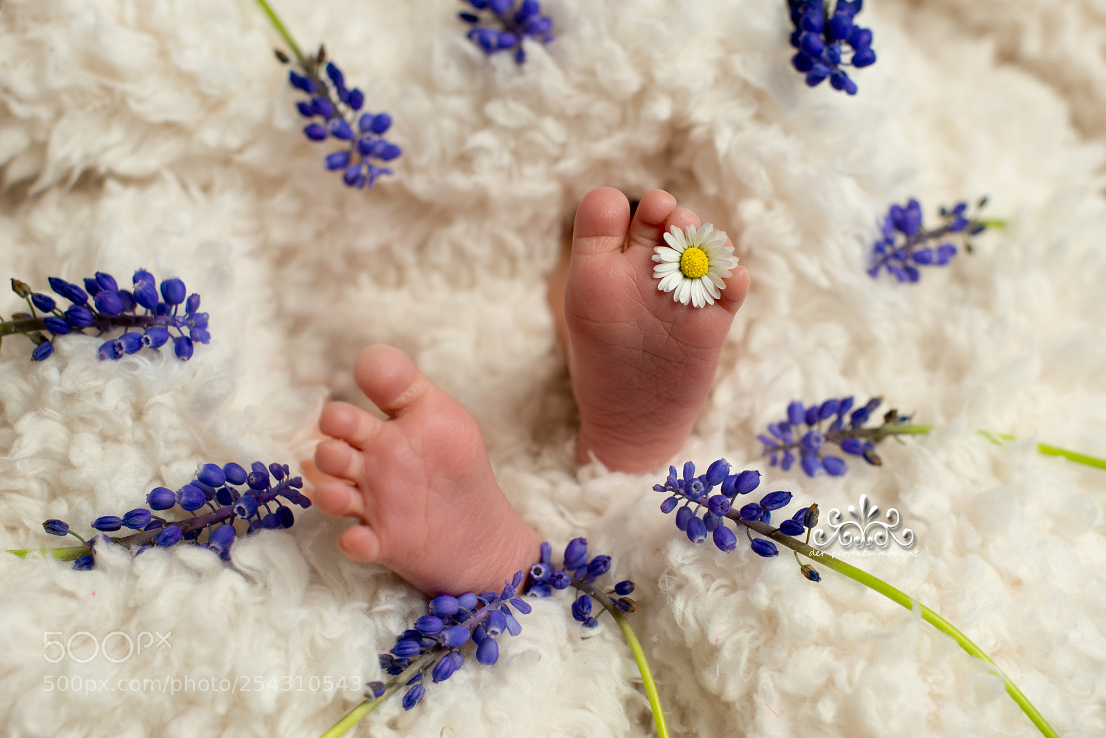 Nikon D800E sample photo. Baby girl feets photography