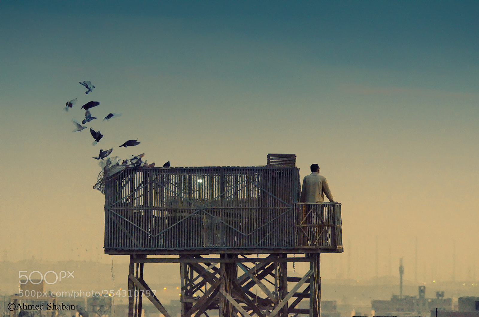 Nikon D7000 sample photo. Moments (pigeon tower) photography