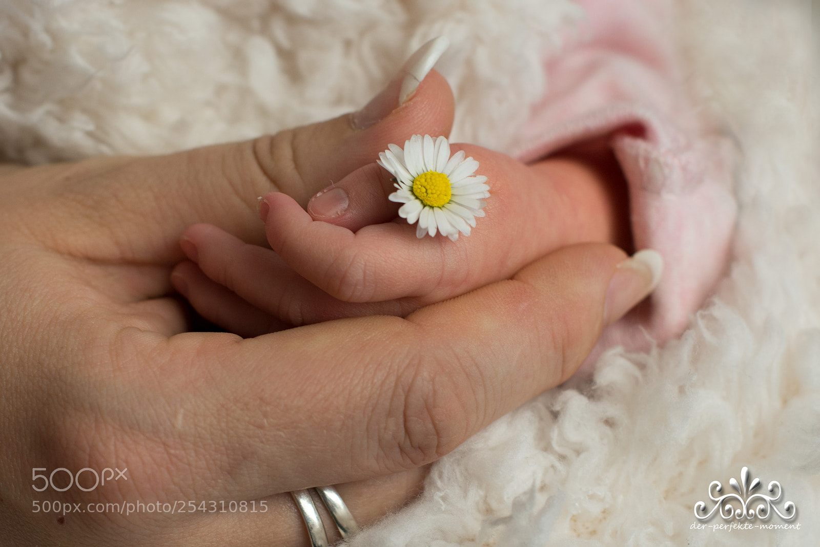 Nikon D800E sample photo. In mom hands photography