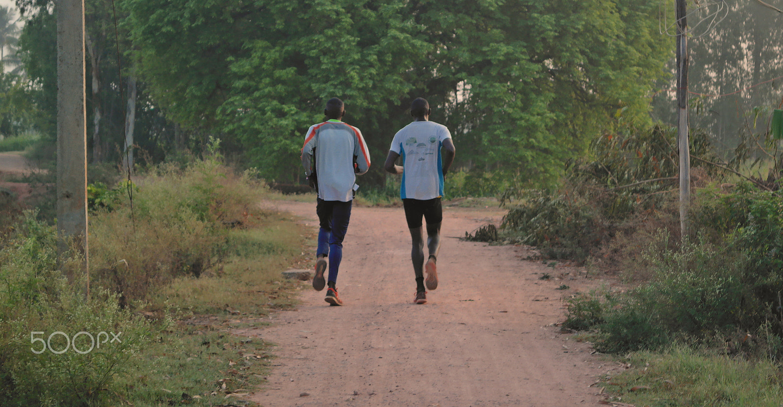 Samsung NX2000 sample photo. Jogging with nature photography