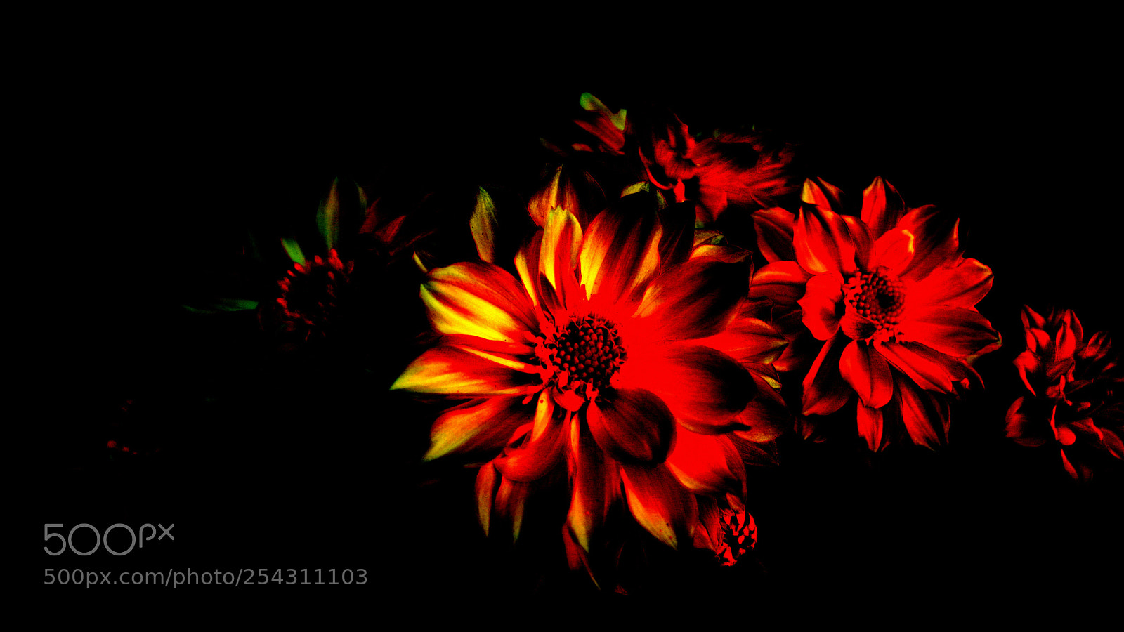 Pentax K-70 sample photo. Untitled photography