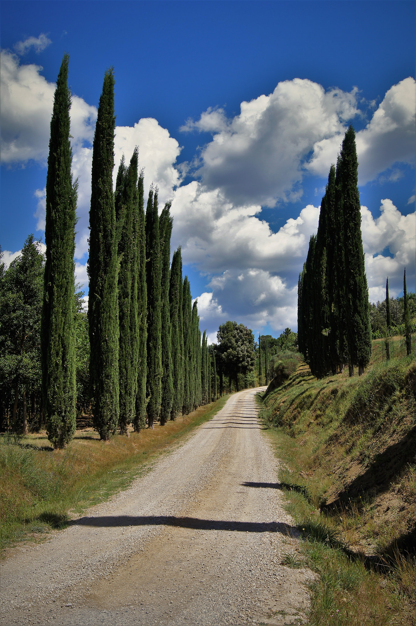 Sony SLT-A35 sample photo. Tuscany photography