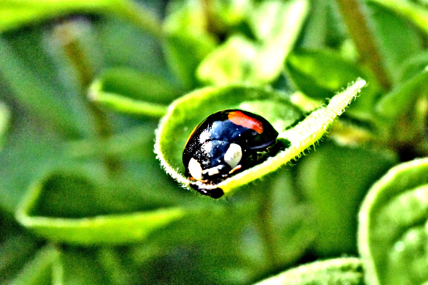 Nikon D3400 sample photo